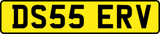 DS55ERV