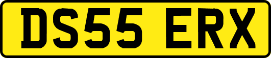 DS55ERX