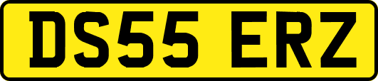 DS55ERZ