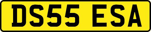 DS55ESA