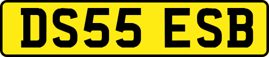 DS55ESB