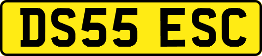DS55ESC