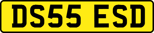 DS55ESD