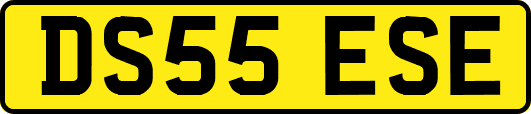 DS55ESE