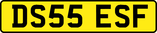 DS55ESF