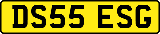 DS55ESG