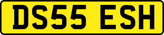 DS55ESH