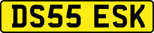 DS55ESK
