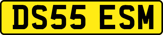 DS55ESM