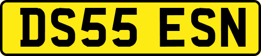 DS55ESN