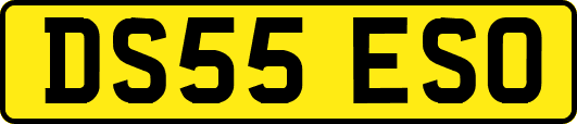 DS55ESO