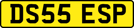 DS55ESP