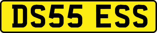 DS55ESS
