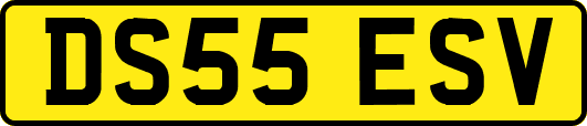 DS55ESV