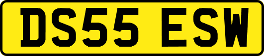 DS55ESW