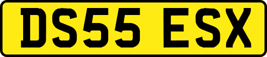 DS55ESX