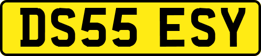 DS55ESY