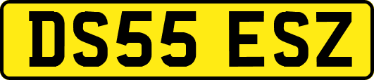 DS55ESZ