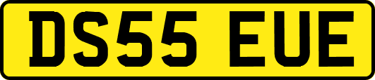 DS55EUE