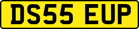 DS55EUP