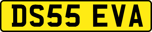 DS55EVA