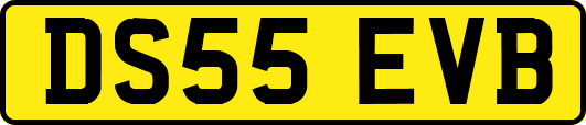 DS55EVB