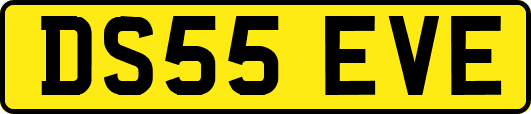 DS55EVE