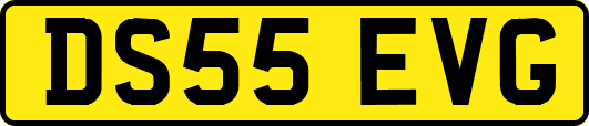 DS55EVG