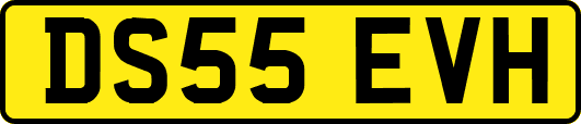 DS55EVH