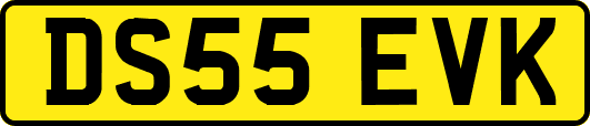 DS55EVK