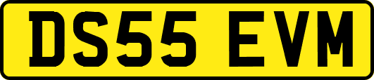 DS55EVM