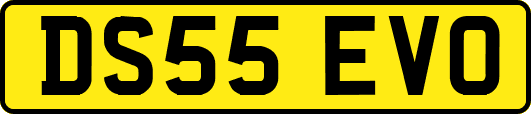 DS55EVO