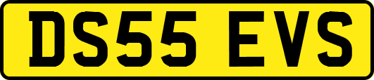DS55EVS