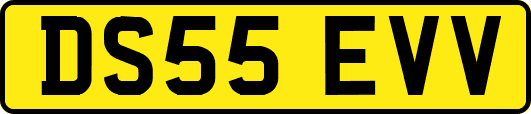 DS55EVV