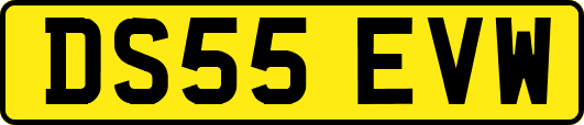 DS55EVW