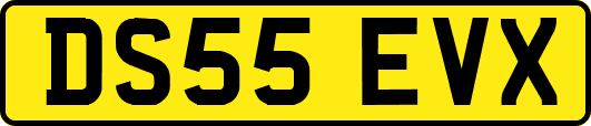 DS55EVX