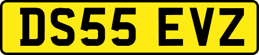 DS55EVZ