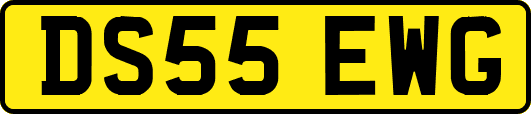 DS55EWG