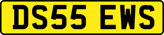 DS55EWS
