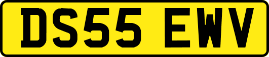 DS55EWV