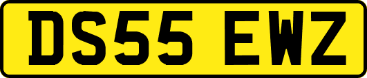 DS55EWZ