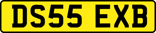 DS55EXB