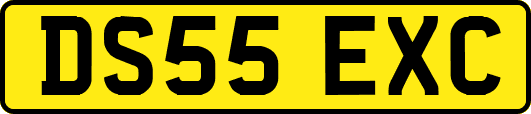 DS55EXC