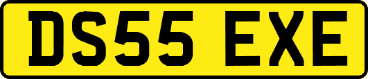DS55EXE