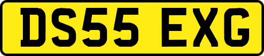 DS55EXG