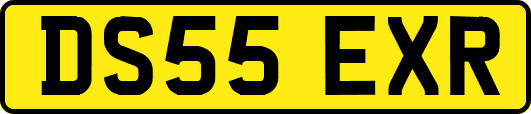 DS55EXR