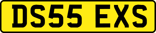 DS55EXS