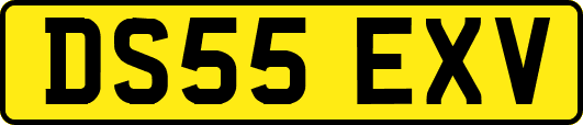 DS55EXV
