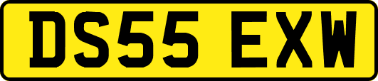 DS55EXW