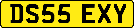 DS55EXY